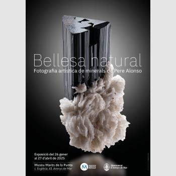 Bellesa natural. Fotografia de minerals de Pere Alonso