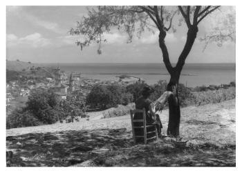 Puntaire a Arenys de Mar